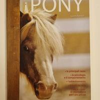 Gianni Ravazzi - I pony