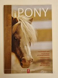 Gianni Ravazzi - I pony