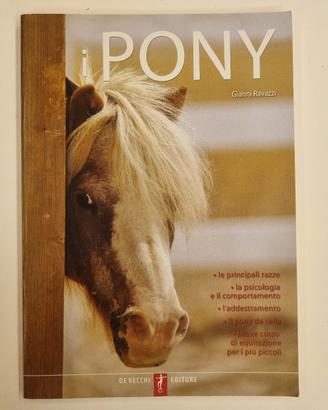 Gianni Ravazzi - I pony
