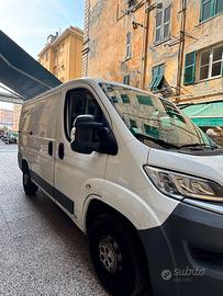 citroen jamper passo corto