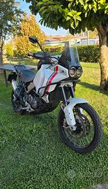 Ducati Desertx perfetta 