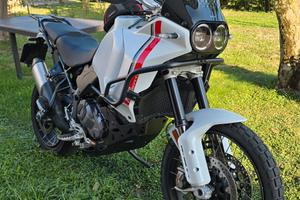 Ducati Desertx perfetta 