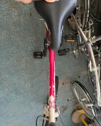 Mountain bike