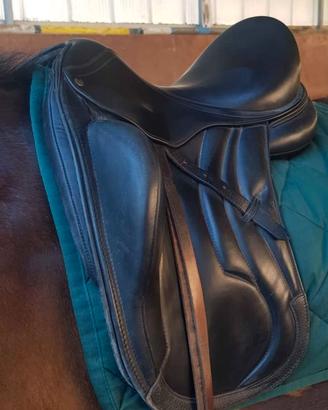 sella dressage equestro Lusiana 