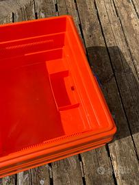 Incubatrice covatutto 24