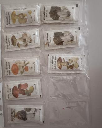Lotto bustine zucchero (Funghi e Micologia)