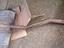 Immagine 1