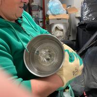 Spremiagrumi professionale