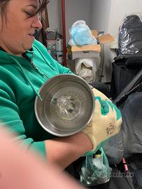 Spremiagrumi professionale