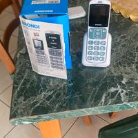 telefoni tasti grandi
