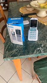 telefoni tasti grandi