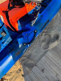 2 canoe doppie professionali