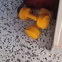 Pesi palestra da 2 kg