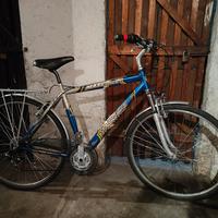 bicicletta City Bike 28 con cambio e multiple 