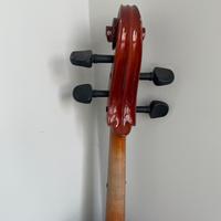 Violoncello