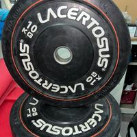 2 dischi da 10kg Lacertosus Crossfit weightlifting