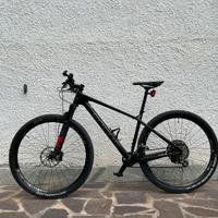 Mtb Focus Carbon raven 29