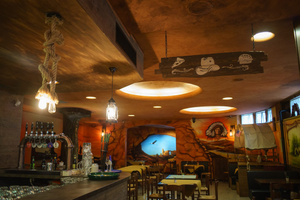 Attività avviata Pub Pizzeria