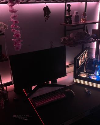 Setup Gaming PC+Monitor+Altoparlanti