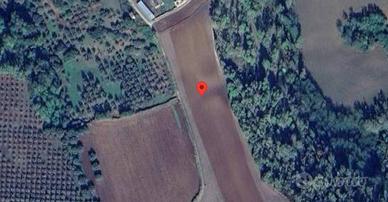 Immobile in asta di 88880 m² a Gerocarne