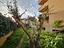 Immagine 14