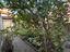 Immagine 20