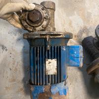 Motore elettrico + motoriduttore