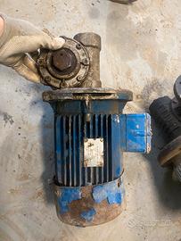 Motore elettrico + motoriduttore