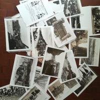 collezione la Stampa di quadri