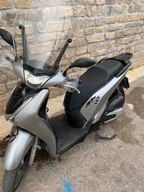 Sh 125 del 2019