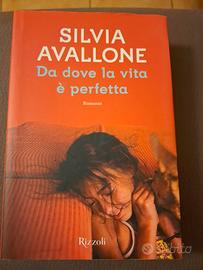Romanzo "Da dove la vita è perfetta"