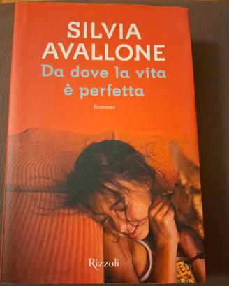 Romanzo "Da dove la vita è perfetta"