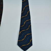 cravatta per la festa del papa