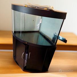 ACQUARIO JUWEL 190 lt + mobile.