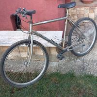 bicicletta