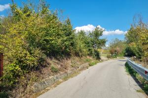Terreno agricolo di mq 5200 Arcella