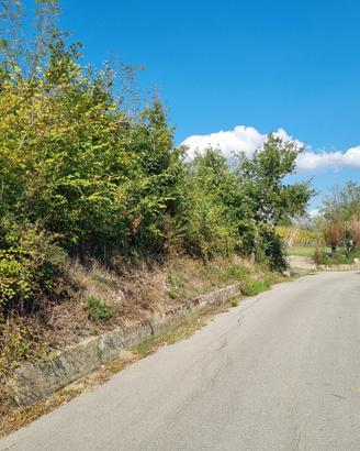 Terreno agricolo di mq 5200 Arcella