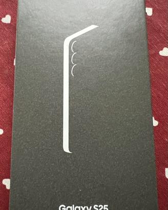 Samsung  SM-S931B/DS 12GB /256GB Silver Shadow