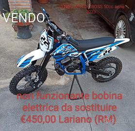 MOTO CROSS 50cc anno 2023