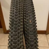 Coppia copertoni mb bici