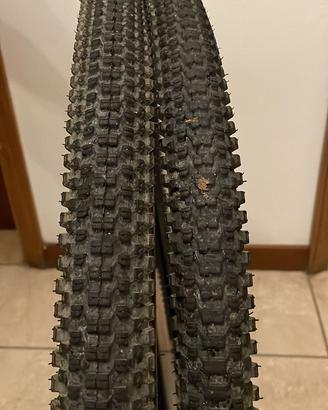 Coppia copertoni mb bici