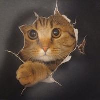 Tappetino per mouse a forma di gatto