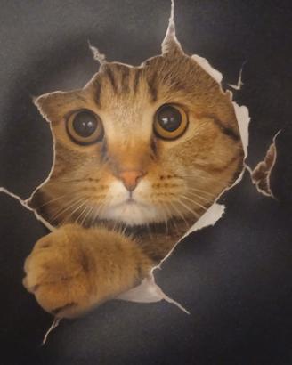 Tappetino per mouse a forma di gatto