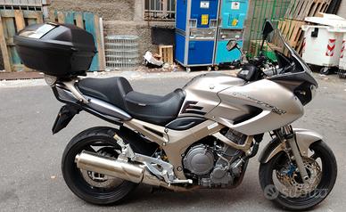 Yamaha TDM 900 - 2003