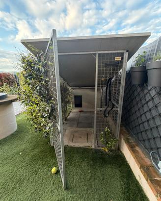 Box cane coibentato con recinto zincato