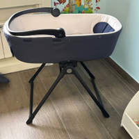 Inglesina Aptica trio Darwin i size