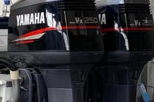Coppia yamaha vx 250