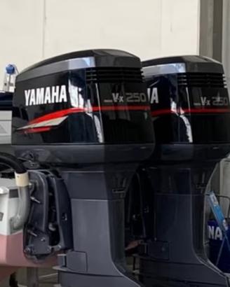 Coppia yamaha vx 250