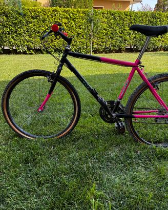 Bicicletta