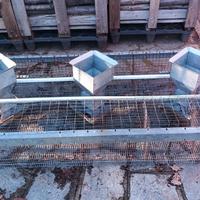 gabbia per allevamento conigli 180x80x30 cm